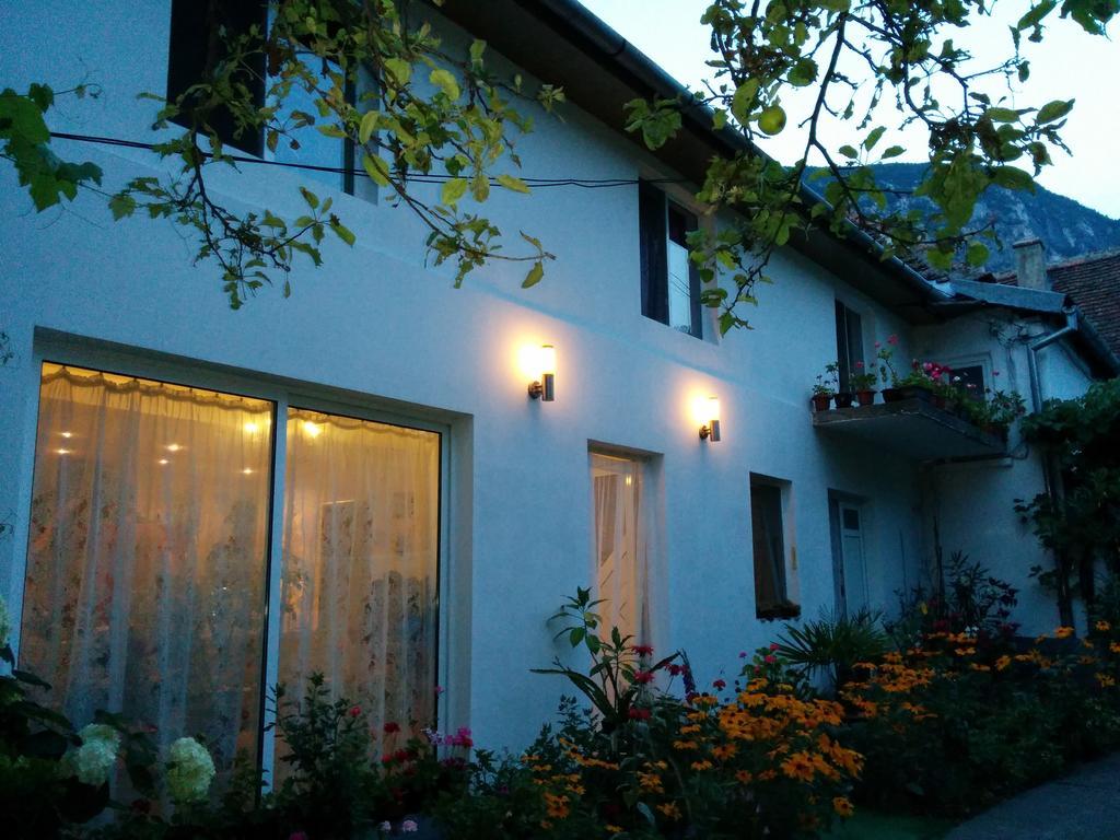 Pension Casa Anadam Băile Herculane Exterior foto